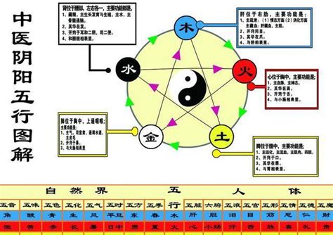 金融五行属什么|金融五行属什么